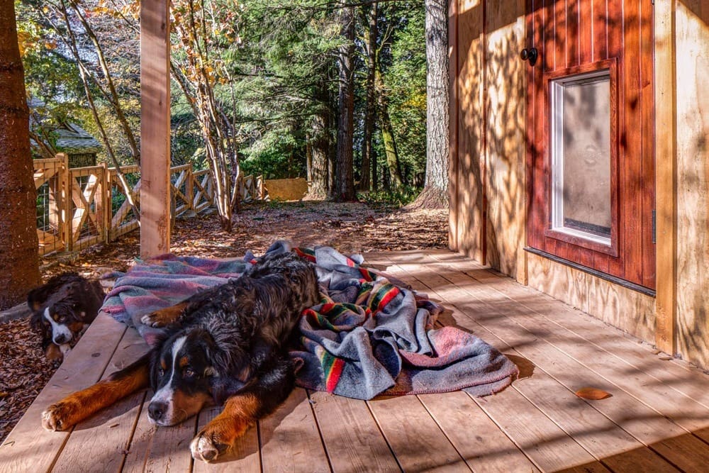 Custom Dog House in Portland OR | Hammer & Hand